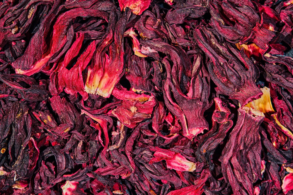 Hibiscus - Sorbet en infusion